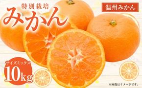 【先行受付】 特別栽培みかん 10kg サイズミックス 温州みかん みかん ミカン 蜜柑 フルーツ 柑橘 果物 果実 熊本県 上天草市【2025年12月下旬から2026年1月下旬発送開始】
