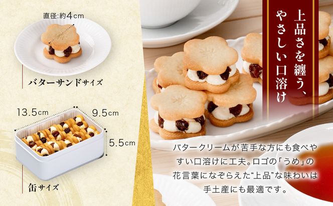 【三木鶏卵】レーズンバターサンド 10個入り｜京都 錦市場 有名店 スイーツ バターサンド 人気セット［ たまご屋自慢のバターサンド 人気 おすすめ 玉子 卵 たまご お菓子 スイーツ ギフト プレゼント 贈答 お取り寄せ 通販 送料無料 ふるさと納税 ］ 261009_A-AAJ004