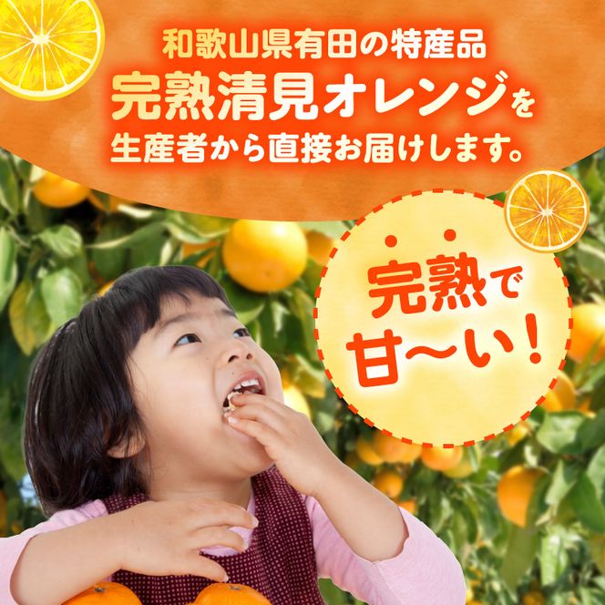ZN6001n_【2027年先行予約】和歌山県有田産 完熟 清見オレンジ 5kg ひとつひとつ丁寧に厳選！生産者から直送【清見 みかん オレンジ タンゴール きよみ 柑橘 和歌山 有田】