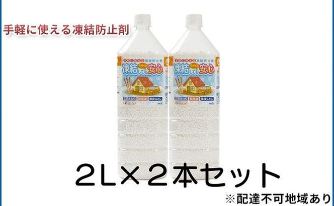融雪剤 凍結してもササっと安心 2L × 2本 雑貨 日用品 凍結防止