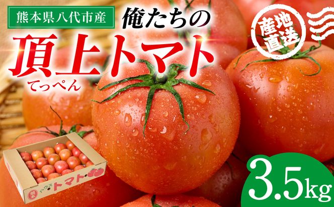 産地直送 俺たちの頂上トマト 3.5kg トマト とまと 野菜 やさい 旬 旬の野菜 新鮮な野菜 地元産野菜 熊本県 八代市