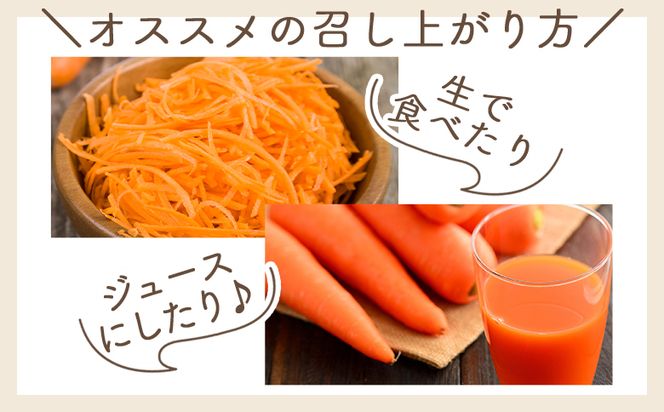 【2025年11月以降発送】にんじん ５ｋｇ 家庭用 yr-0083
