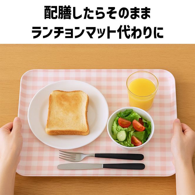 TATSU-CRAFT マグネットトレー M 33cm ミルキーチェック GR グリーン すべり止め付き ［Tk1096］ 303446_DA90823VC02