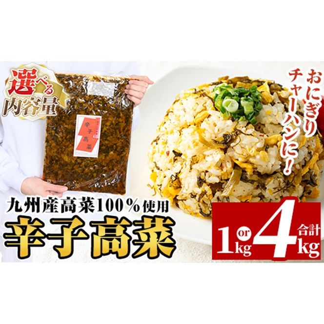 a568 《選べる内容量》九州産辛子高菜(1kg・4kg)【九州新進】姶良市 国産 九州産 たかな 漬物 漬け物 ご飯のお供 おかず おつまみ おにぎり 常温 常温保存