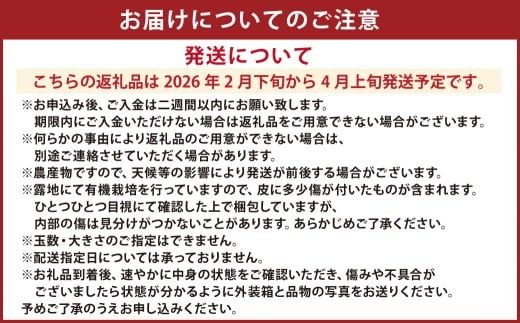【先行受付】特別栽培パール柑（天草文旦） 7kg サイズミックス パール柑 天草文旦 柑橘 果物 フルーツ 熊本県産【2026年2月下旬から4月上旬発送開始】