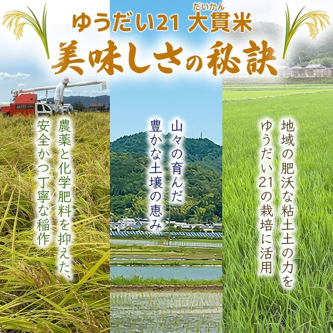 令和8年度産 玄米 ゆうだい21 大貫米 15kg お米 ごはん 兵庫県産