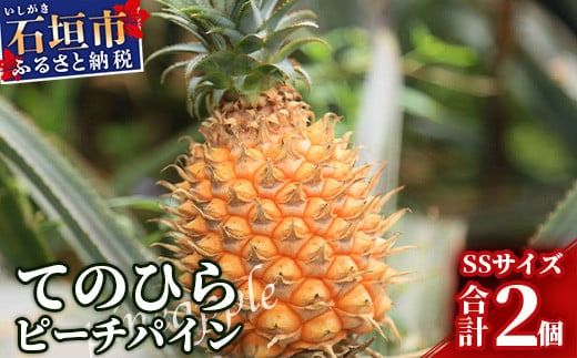 《2026年4月～7月順次発送》枝先完熟 てのひらピーチパイン 1kg (SSサイズ2個) 希少！濃厚！【 沖縄 石垣市 石垣島 希少 完熟 パイナップル パイン ピーチパイン パイン てのひらパイン 産地直送 離島のいいもの 沖縄いいもの石垣島 】OI-2