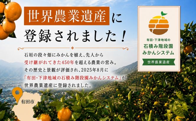  2.有田みかん「未来への虹」（10kg） (A2-2)