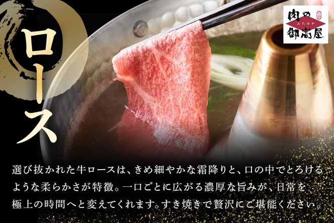 飛騨牛【定期便3回】「飛騨牛食べ比べ定期便」 肩ロース サーロイン ロース 冷蔵配送 しゃぶしゃぶ すき焼き ステーキ 88