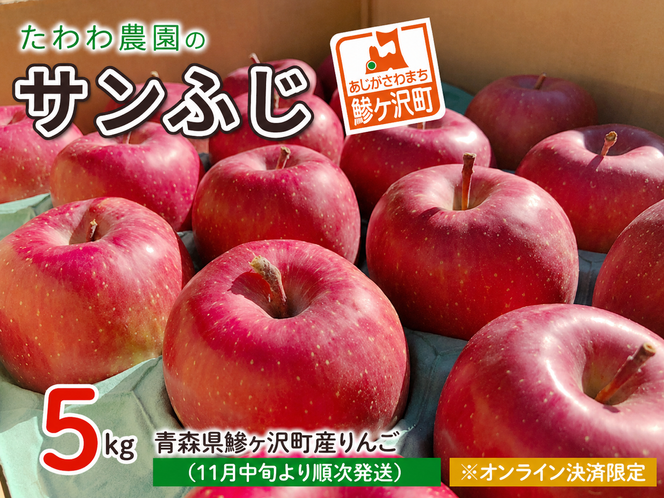 りんご 青森 サンふじ リンゴ 約 5kg （18～20玉） 青森県 鰺ヶ沢町産 たわわ農園 フルーツ 果物 果物類 林檎 サンフジ 青森産 ふじ 2023 ※2023年11月中旬より順次発送 ※オンライン決済限定 