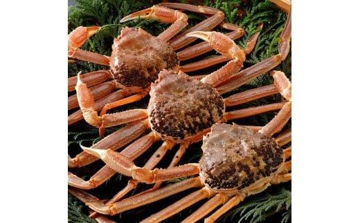 y挧khz757.yz2025N11  tɁyuh^Otzi900g×3t) 313726_BS006VC01