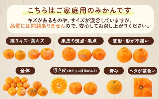 【先行予約】【訳あり】紀州和歌山産 温州みかん「おてんば娘」約5kg（箱込み）S～2L サイズ混合（早生・中生）