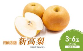 梨 2026年 先行予約 新高梨 3-6玉（約4kg） 化粧箱入り なし ナシ 岡山県産 国産 フルーツ 果物 ギフト [№5735-2056]