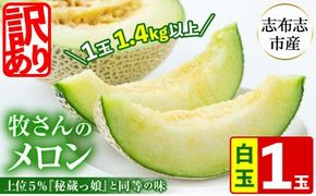 【春限定・数量限定】牧さんの訳ありメロン 白玉(青肉)1玉 a1-058-s