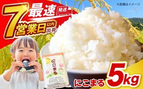 長崎県産 精米 にこまる 5kg / 南島原市 / 大松屋商店 [SDR001]