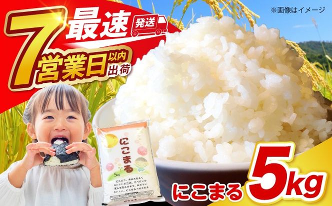 長崎県産 精米 にこまる 5kg / 南島原市 / 大松屋商店 [SDR001]