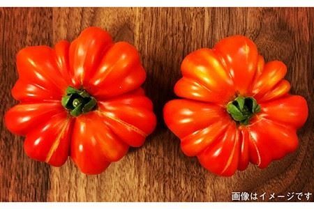 【 全12回 定期便 】 朝採り オーガニック 旬 野菜 お任せ 5品 ＋ 糸島産 大ヒット 特産 加工品 2品 のセット《糸島》【オーガニックナガミツファーム】 [AGE032]