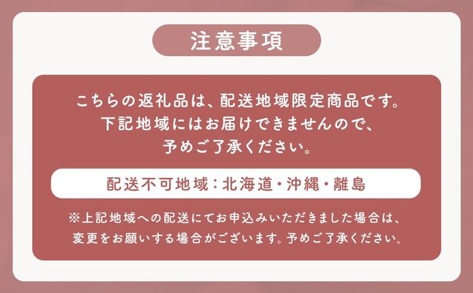 【 4つの無添加 （ 香料 蛍光剤 漂白剤 着色料 ） 】 fabrush 濃縮洗たく洗剤 無香料 520ml×20個 生活用品 生活雑貨 雑貨 日用品 洗剤 洗濯