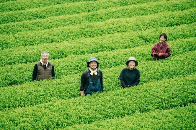 お茶 いつきの茶・在来種セット [松井製茶工場 熊本県 五木村 51120288] 緑茶 一番茶 熊本県 特産