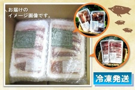 脊振ジビエ イノシシ肉バラエティセット 約1.4kg 【脊振 ロース ばら 肩ロース ミンチ カレー 鍋 セット】(H044107)