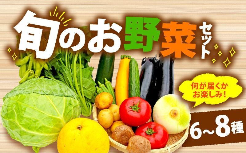 野菜 詰合せ 6〜8種 おまかせ 旬 まんさいかん ボックス 静岡県 藤枝市 [PT0034-000013]
