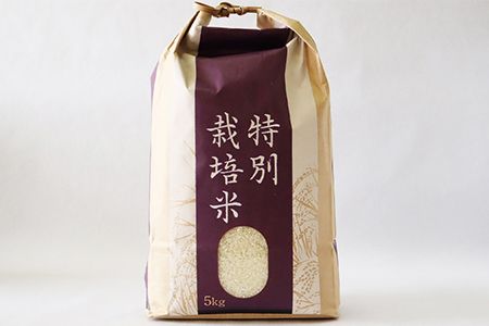 ＜令和7年産予約受付＞【3ヶ月定期便】 銀河のしずく 厳選プレミアム（減農薬・減化学肥料）5kg 【2015】