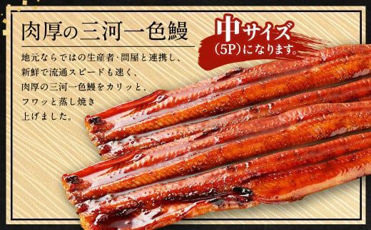 三河一色産 うなぎ蒲焼き 中2尾 うなぎ 鰻 かば焼き タレ付き セット 簡単調理 冷凍