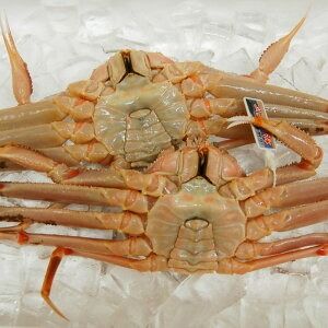 【ふるさと納税】【数量限定】希少な松葉がに（ボイル冷凍）500g以上×2枚 1kg以上 産地しか手に入らない脱皮直前のレアな松葉がに ソフト蟹 二枚皮 松葉蟹 ズワイガニ ずわい蟹 蟹 カニ かにみそ 急速冷凍 冷凍 【2025年2月下旬目安に発送開始】 兵庫県 新温泉町 送料無料