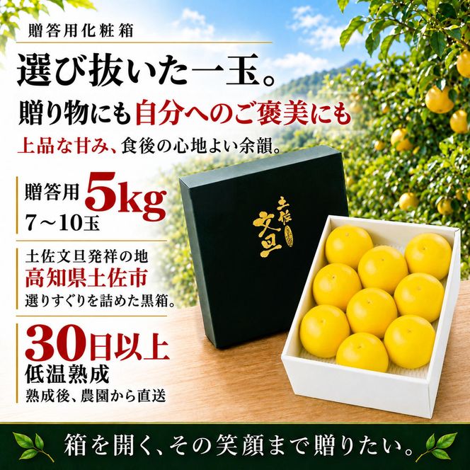 土佐文旦 贈答用化粧箱 5kg 大玉 日本ギフト大賞受賞 文旦発祥の地 園主こだわり ギフト 贈り物 寒中見舞い お祝い 自分へのご褒美 高知県土佐市産 高知県産 国産 5キロ ぶんたん みかん 柑橘類 高級フルーツ 果物 産地直送 お取り寄せ 季節限定 先行予約 やの一果彩[BQAC005]