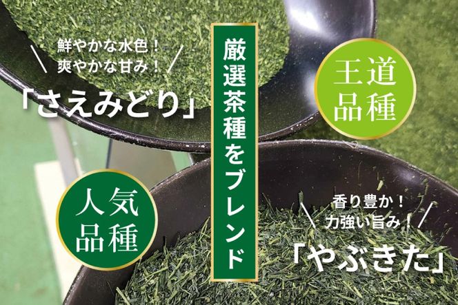 お茶 ティーバッグ 特撰 みやざき煎茶 10袋 セット [谷岩茶舗 宮崎県 日向市 452061736] ティーパック 茶 茶葉 緑茶 新茶 お茶の葉