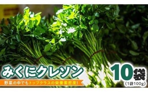 みくにクレソン100g×10袋 美容 健康 野菜 スーパーフード クレソン [CY003ci]