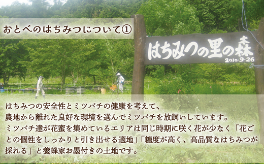 ＜おとべのはちみつ　アカシア130g×2本＞北海道 道産 天然 非加熱 アカシア クセなし 単花蜜 生はちみつ はちみつ ハチミツ 蜂蜜 おとべのはちみつ