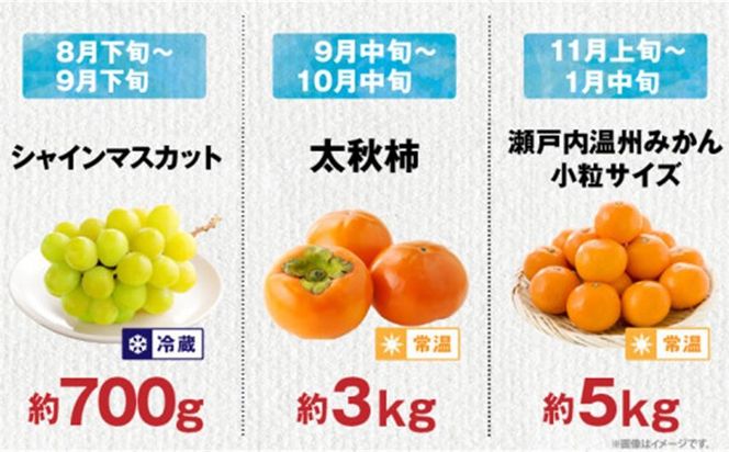 【6回お届け】高松市自慢のフルーツ定期便【J】 372013_T006-774J