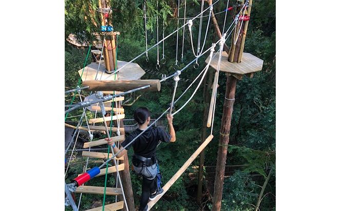 冒険の森inおうじ　アドベンチャーコース6名様チケット 入場券 優待券 体験チケット 