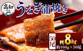 うなぎ 高知県産蒲焼きうなぎ １６０g ５０尾 計８kｇ fb-0187