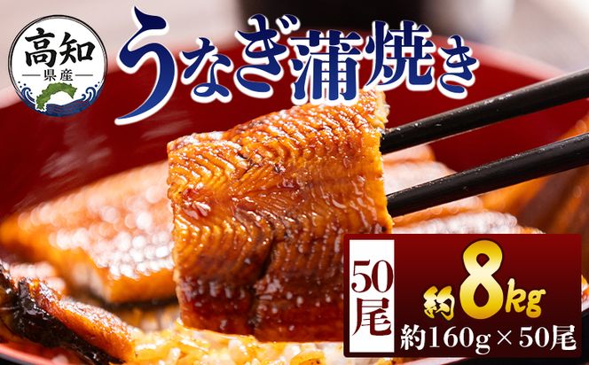 うなぎ 高知県産蒲焼きうなぎ １６０g ５０尾 計８kｇ fb-0187