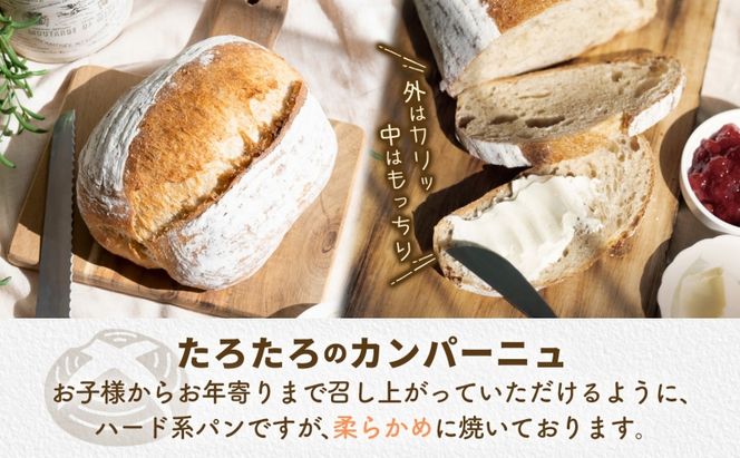 定期便 3ヶ月連続 ぱん工房たろたろ プレーンカンパーニュ 2個 カンパーニュ パン プレーン 自然な甘み シンプル 小麦 農林61号 濃厚 芳醇 香り もっちり 食感 ハード系 柔らかめ 埼玉県 嵐山町
