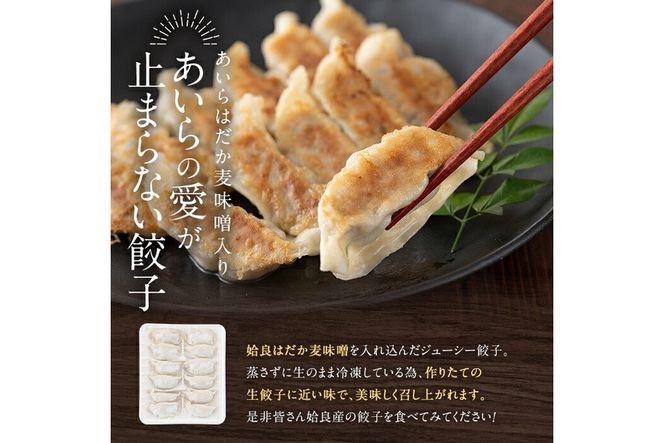 a836 あいらはだか麦味噌入り冷凍生ぎょうざ「あいらの愛がとまらない餃子」計84個(12個入り×7P)味噌たれ付き【姶良のアグリM～】