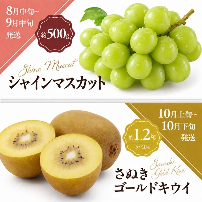 少しがうれしい讃岐のフルーツ定期便（全8回）【香緑キウイ】【さぬきひめ苺】【デコポン】【なつたより(びわ)】【シャインマスカット】【さぬきゴールドキウイ】【さぬきキウイっこ】【小原紅早生みかん】