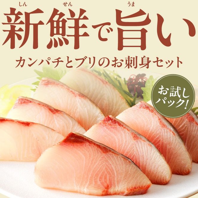 ブリとカンパチの新鮮お刺身セット　少量お試しパック N019-YA194