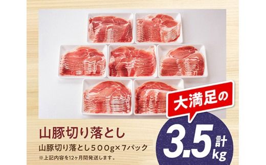 【12ヶ月定期便】宮崎県産豚肉「きじょん山豚」切り落とし　計3.5kg（500g×7パック）【 肉 豚 豚肉 切り落とし 】[D07501t12]