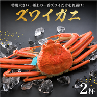 【味覚の王様加能ガニ・姫丸の一番ズワイガニ】11-12月配送 1番ズワイ 茹で上げ後約1.0kg× 2杯