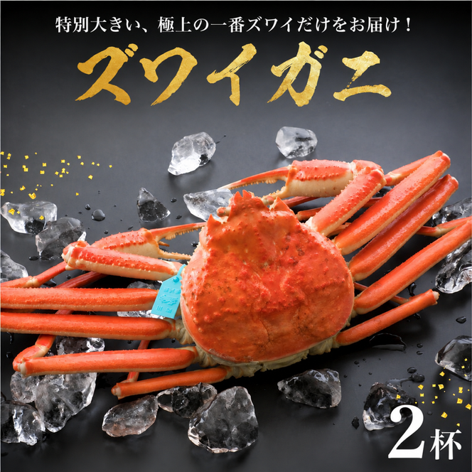 【味覚の王様加能ガニ・姫丸の一番ズワイガニ】11-12月配送 1番ズワイ 茹で上げ後約1.0kg× 2杯