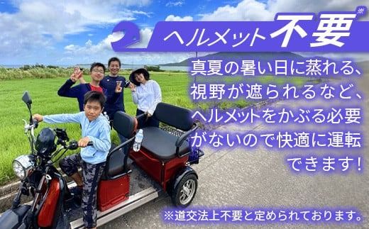 電動三輪バギーで行く選べるガイド付ツアー【 沖縄 石垣島 レンタル バイク バギー トライク ツアー ガイド 】RO-4