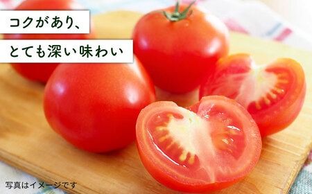 【全3回定期便】糸島産 絶品トマト かれん (4kg28玉前後) 糸島市 / シーブ 野菜 とまと 大玉トマト [AHC066]