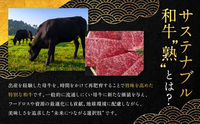 【銀閣寺大西】国産サステナブル和牛「熟」100％ 煮込みハンバーグ（デミグラスソース）2個セット［ 京都 老舗精肉店 有名店 至極の煮込みハンバーグ 贅沢 人気 おすすめ グルメ 肉 牛肉 和牛 国産牛 ご褒美 ギフト プレゼント 贈答 お取り寄せ 通販 送料無料 ふるさと納税 ］ 261009_A-AG033