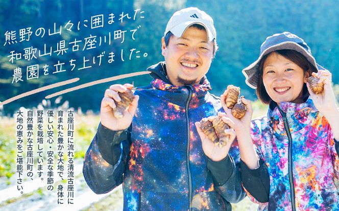 古座川町の恵みが育んだ ご縁座の乾燥にんにく 1kg / にんにく 乾燥にんにく ガーリック【gnz103A】 