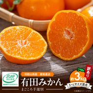 【2026先行予約】有田みかん 約3kg 【家庭用】 (S～Lサイズ混合)【まごころ手選別】_ZE6481