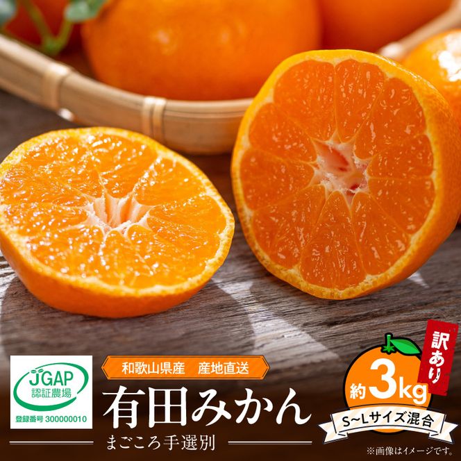 有田みかん 約3kg 【家庭用】 (S～Lサイズ混合)【まごころ手選別】_ZE6525