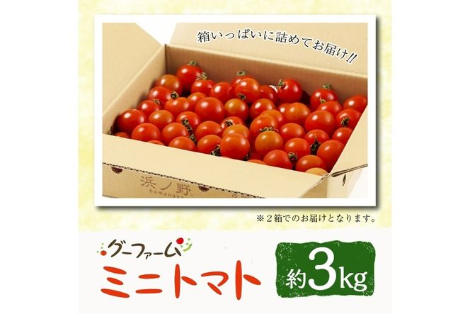 ＜先行予約受付中！2025年12月から順次発送予定＞＜期間限定＞ ミニトマト(約3kg) ミニトマト(約3kg)野菜 とまと フルーツトマト サマー千果 アイコ サラダ 【GF-2】【グーファーム】